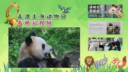 解鎖六一特別陪伴模式 中國互聯網電視帶您云游上海動物園，探秘動物飼養