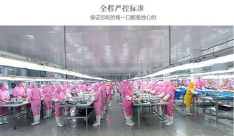 農家散養白羽雞 零激素添加的自然饋贈，新鮮營養健康到家