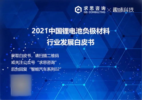 求思咨詢(xún)與趣味科技聯(lián)合發(fā)布《2024年鋰電池負(fù)極材料技術(shù)白皮書(shū)》 技術(shù)演進(jìn)與產(chǎn)業(yè)變革深度解析